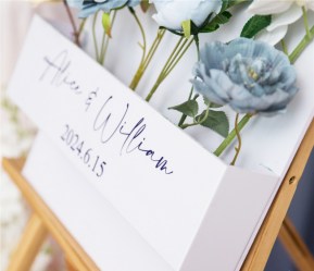 Nessuna immagine impostata 